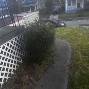 Bush Trimming by MPV Landscaping reviewed on April 29, 2022