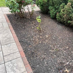 Flower Bed Weeding by ItsBeautyinTheLawnLLC reviewed on May 27, 2023