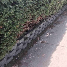 Cleanups by Djalt Lawn Maintenance, LLC reviewed on October 4, 2022