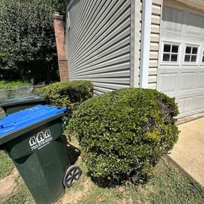 Bush Trimming by BRDOC - Lawn Care reviewed on March 11, 2022