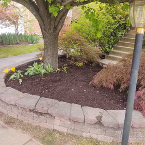 Mulching by ATM reviewed on May 9, 2022