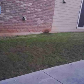 Leaf Removal by Miltee mowing reviewed on July 29, 2022