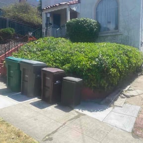 Bush Trimming by Big Chief Lawn Care reviewed on August 8, 2022