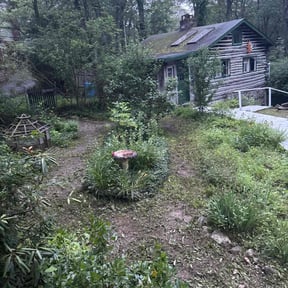 Landscaping by Green solutions Lawncare reviewed on May 28, 2022