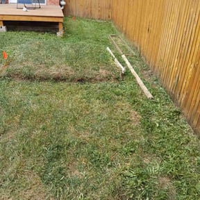 Cleanups by Time's lawn care reviewed on March 31, 2023