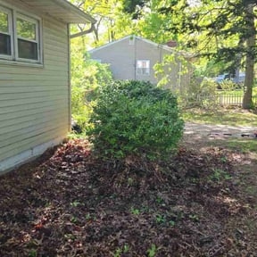Bush Trimming by Brooks lawn Care reviewed on May 20, 2022