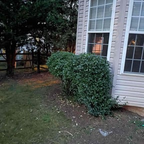 Bush Trimming by EV Great Valley Landscaping,LLC. reviewed on June 22, 2022