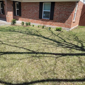 Landscaping by Xtreme Detail reviewed on May 18, 2022