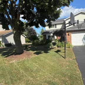 Flower Bed Weeding by SRC Lawn Care reviewed on June 20, 2022