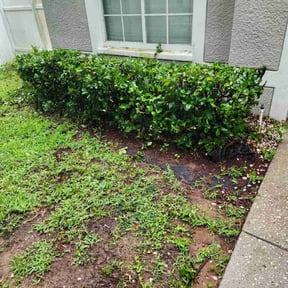 Bush Trimming by Legacy Lawn Services reviewed on May 24, 2022