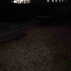 Leaf Removal by Greenscapes Landscaping and Grass Cutting reviewed on April 8, 2022