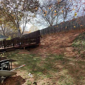 Leaf Removal by P&A PS SERVICES CORPORATION reviewed on August 7, 2022