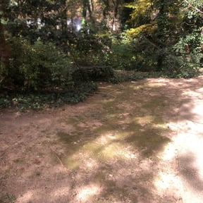Leaf Removal by Fairwood Landscape reviewed on June 18, 2022