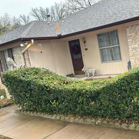 Bush Trimming by Jero&#039;s Landscape reviewed on December 22, 2024