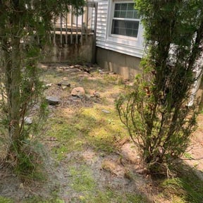 Leaf Removal by Landscape Essentials reviewed on June 4, 2022