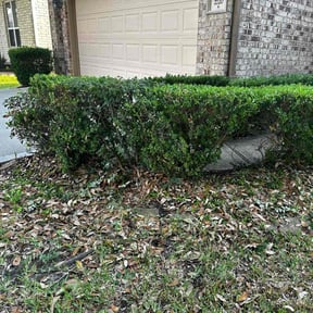 Bush Trimming by JG Lawn Care reviewed on March 21, 2025