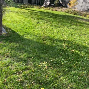 Leaf Removal by Crowder's lawn care reviewed on May 2, 2022