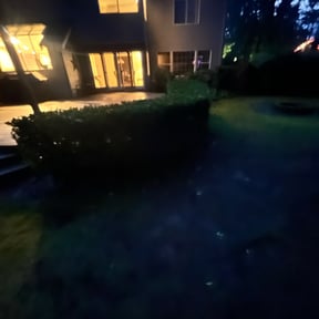 Bush Trimming by SRC Lawn Care reviewed on June 24, 2022