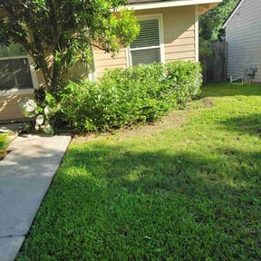 Bush Trimming by Johnson lawn services reviewed on April 13, 2022