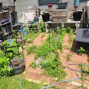 Flower Bed Weeding by Triple "s" services reviewed on April 24, 2025