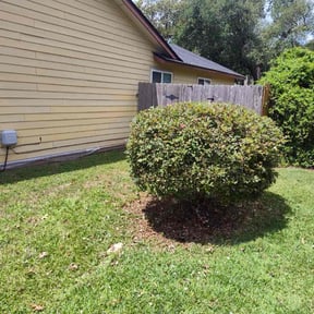 Bush Trimming by chameleon lawn care reviewed on May 4, 2022