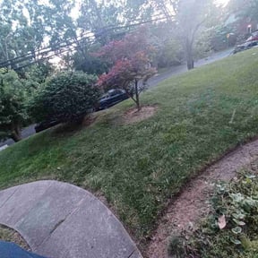 Cleanups by ABC Lawn and Waterscapes reviewed on May 5, 2022