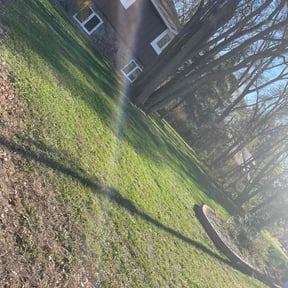 Leaf Removal by Puro Ponle Landscaping reviewed on June 6, 2022