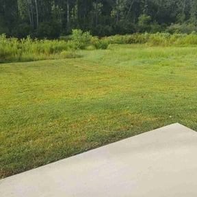 Cleanups by Second Glance Landscaping LLC reviewed on April 28, 2022