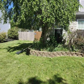 Bush Trimming by Castrolawns reviewed on May 14, 2022