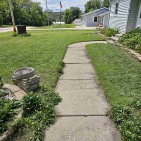 Cleanups by Dr. Green Lawn LLC reviewed on November 5, 2021
