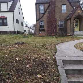 Leaf Removal by Lead the Way Lawncare LLC reviewed on June 12, 2022
