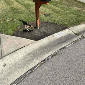 Flower Bed Weeding by Revolution Lawn and Fertilization reviewed on April 26, 2022
