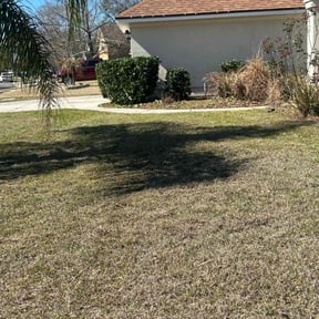 Bush Trimming by Rmp residential services reviewed on June 20, 2022