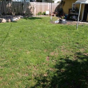 Leaf Removal by Seasons Property Maintenance reviewed on June 2, 2022
