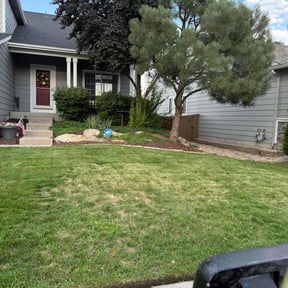 Weeding by Denver Bros Lawn Control reviewed on June 7, 2025