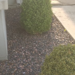 Flower Bed Weeding by Rhoyalty Lawn Care, LLC reviewed on April 8, 2022