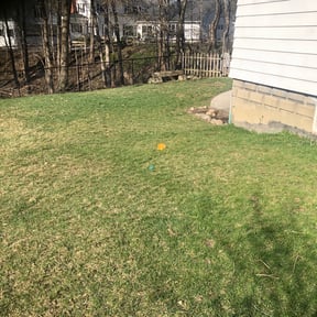 Leaf Removal by jd landscaping reviewed on March 20, 2022