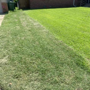 Cleanups by M &M landscaping reviewed on September 24, 2024