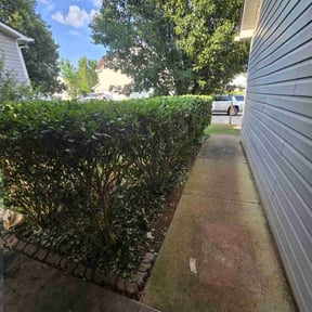 Bush Trimming by AJS LAWNCARE & HOME IMPOVEMENT reviewed on June 17, 2022