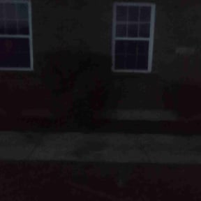 Bush Trimming by Lawnawn, LLC reviewed on April 12, 2022