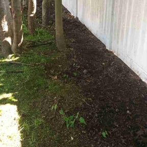 Leaf Removal by O’Callaghan Landscaping reviewed on July 17, 2022