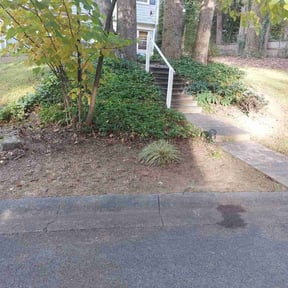 Flower Bed Weeding by Lawn services JAV reviewed on June 2, 2025
