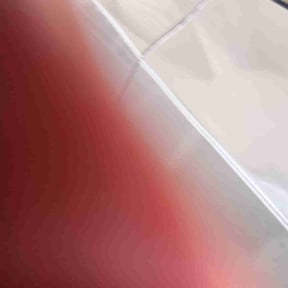 Bush Trimming by Smiley&#039;s Landscaping LLC reviewed on August 11, 2025