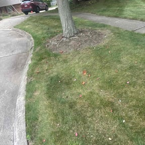 Flower Bed Weeding by Ron Get It Done reviewed on March 29, 2022
