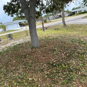 Weeding by Luxury Finish Lawn care reviewed on July 22, 2022