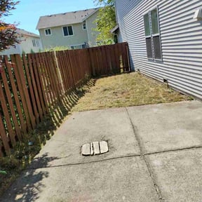 Cleanups by The Wright mowers reviewed on June 25, 2022