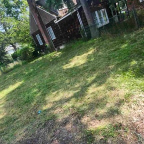 Bush Trimming by Mikes Landscaping reviewed on May 18, 2022