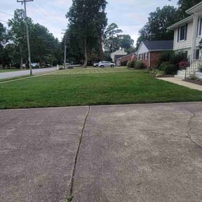 Cleanups by Field of Dreams Landscaping reviewed on April 5, 2025