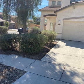 Leaf Removal by Daniel Reyes reviewed on June 9, 2020