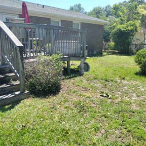 Bush Trimming by Bryan lawn care llc reviewed on July 3, 2025